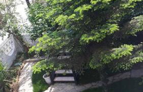 LUXURIOUS APPARTMENTS KATERINA - Foto 42