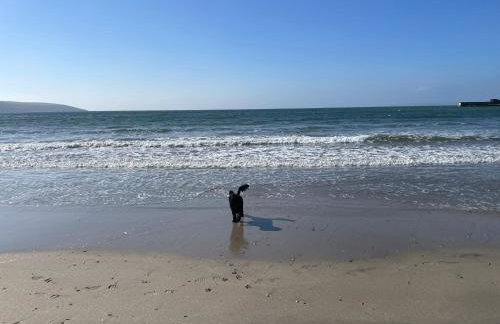 Golden Dunes Retreat, Dog-Friendly Stay at Par Sands Holiday Park, Cornwall - Photo 20