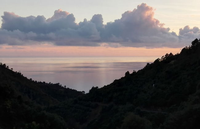 Agriturismo Costa di Campo - Foto 57