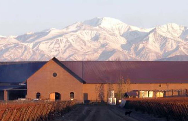 Malbec Tour of the Luján de Cuyo Wine Region - Photo 1