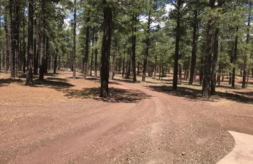 Grand Canyon 1bd Loft at Historic Wrigley Ranch-Suite with Horseback Riding, Hiking - Foto 17