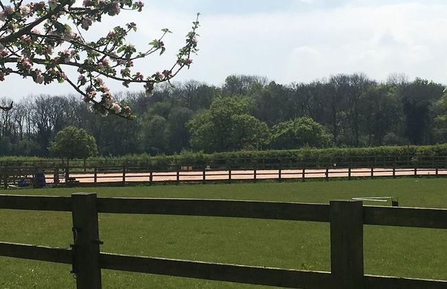 Oxton Hill Hideaway - Foto 24