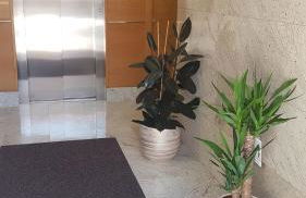 Apartamento Pintor - Foto 16