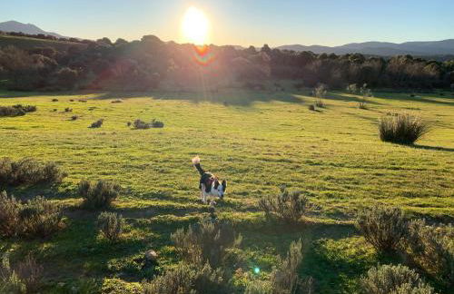 El Refugio de Felix - Photo 53