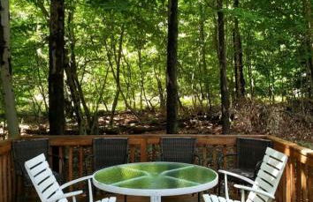 Vdara Pocono Home - Foto 4