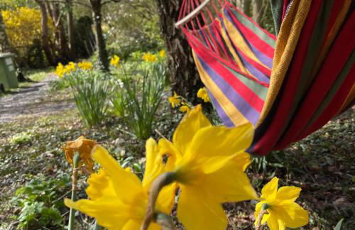 Retro Lodge nr Dartmoor with hot tub & opt sauna - Foto 35