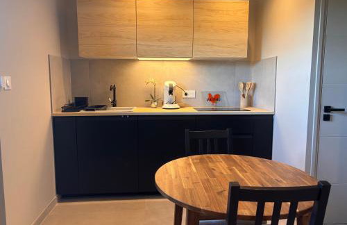 Duplex neuf et cosy vue Mont des Cats - Foto 5
