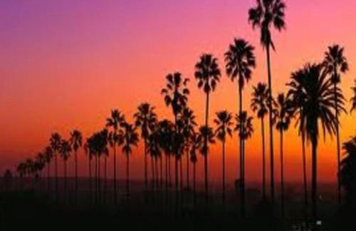 Venice Beach Apartments Monthly rents - Foto 47