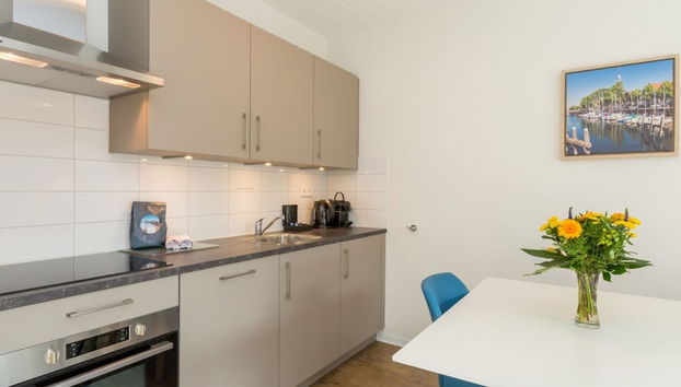 Zoutelande Beach Luxury Apartment - Foto 4, Cocina privada