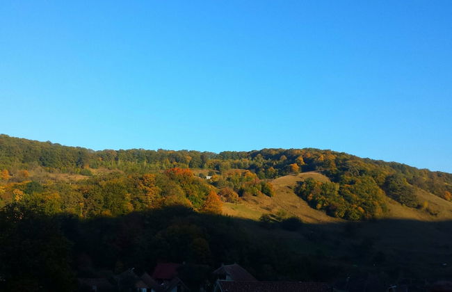 Casa Lily-Japanese Retreat - Foto 36