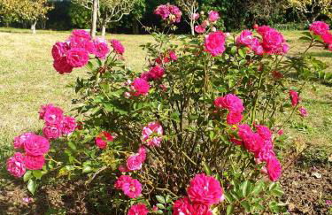 Sondela Self Catering - Foto 42