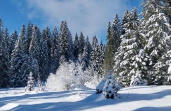 Chalet dans le parc régional du Haut-Jura - Foto 22
