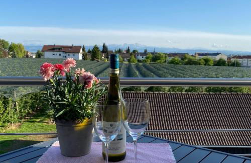 Ferienhof Haas - Foto 13