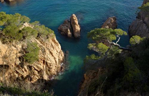 Nuevo Luminoso Apartamento Catalina a 80 metros de la playa para 4 personas - Foto 76