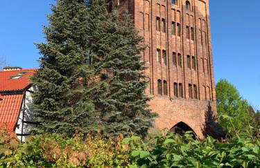 Apartament w Słupsku centrum bezpłatny parking - Photo 50