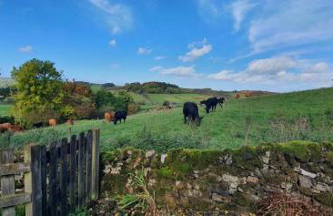 Westdale Cottage, Elton in the Peak District - Photo 10