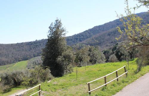 Chiesina di Montesperello - Photo 3