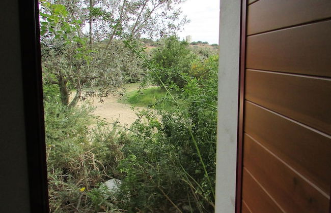 Cavalli di S'Arcaite - Foto 25