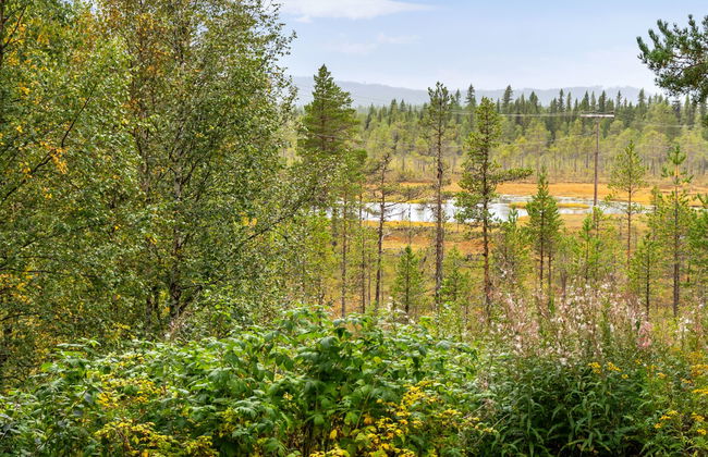 Kvisthån Tallen - Photo 29