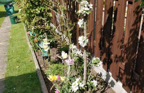 Gästehaus am Teich - Foto 9