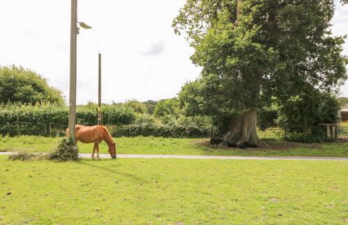 7 Wild Haven - Foto 27