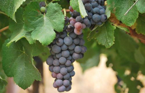 Casa Rural Las Llanadas - Foto 41