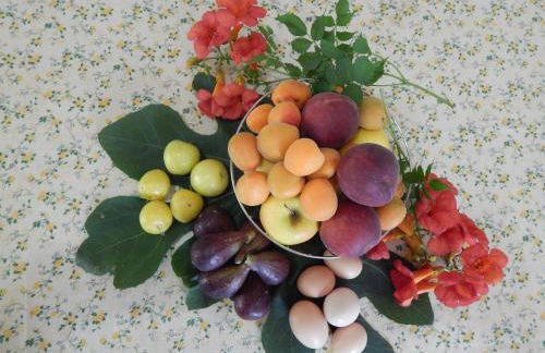 Ricciardulli Rooms - Foto 16