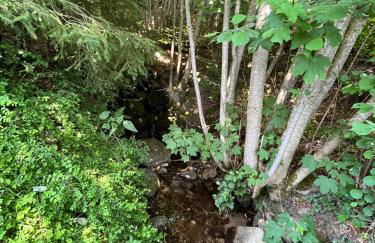 Chalet entier, vue panoramique, ruisseau et sauna. - Foto 20