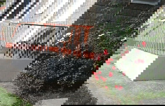 Hotel Dev Cottage - Foto 50