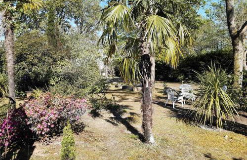 Gîte les 2 pins - Audenge - Foto 6