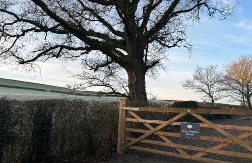 Cosy Devon Hut Woodland Views - Photo 13