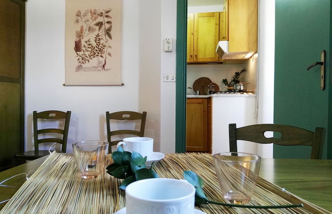 Azienda Agricola Francesca Stajano - Foto 21