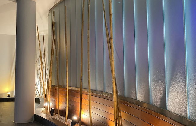 Aparthotel Siente Boí & Spa - Photo 48