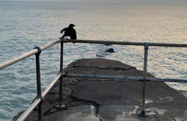 Woodingdean Contractor Pad - FREE Car & Van Parking - Foto 58