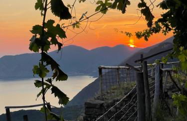 plumbago blue - Foto 19