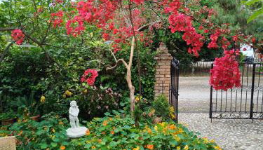 Athina's Mon Repo Apartment - Foto 3