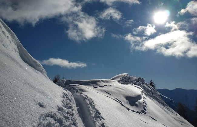 Mascherhof - Foto 37