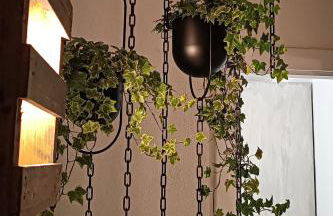 Rifugio dell'artista a Cerri - Foto 6