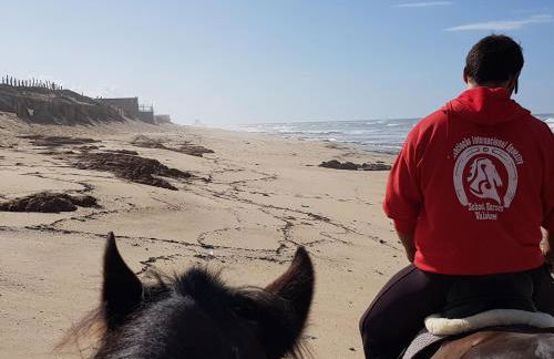 Oporto, sea view and marina - Foto 28