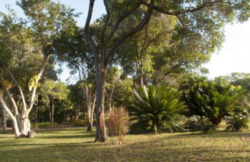 The Lion Cottage- Charming Studios - Foto 27