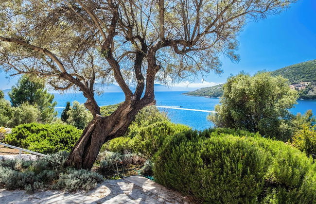 Villa Pisti - Foto 36