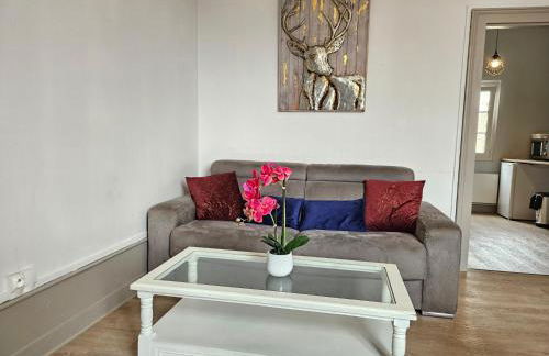 T2 Ctre ville Fibre proche Beauval - Photo 24