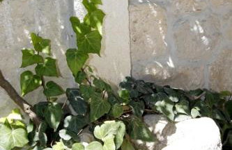 Stone cottage Lavandula - Foto 12