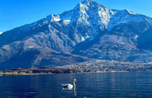 Villa delle Olive - Photo 7