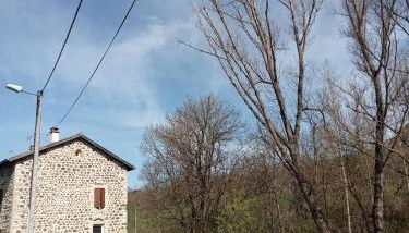 Large home for family or friends - Foto 4