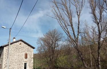 Large home for family or friends - Foto 4