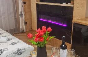Villa Fortuna - Regionalne apartamenty & SPA - Sauna, Grill, Jacuzzi z widokiem na Tatry - Foto 46