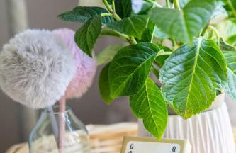 Maison Ventoux 1 Luxe Calme Central Linge fourni - Photo 53