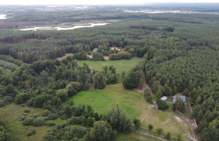 Agroturystyka PLENER - Foto 9