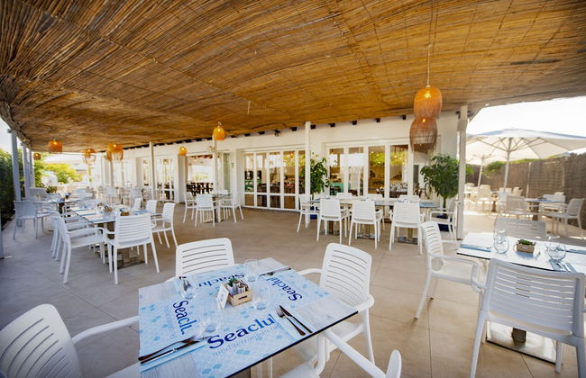 Seaclub Alcudia Mediterranean Resort - Foto 55